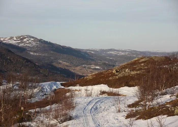 Vats Fjellstue 2* Al