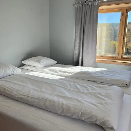 Vats Fjellstue 2* Ål