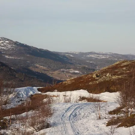 Vats Fjellstue 2* Ål
